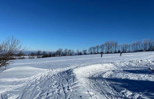 Chalet Zugspitze - Foto 33