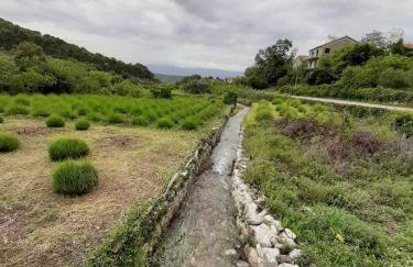 Holiday Home Antonija - Foto 37