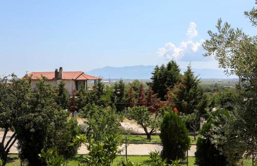 Village House - Photo 12