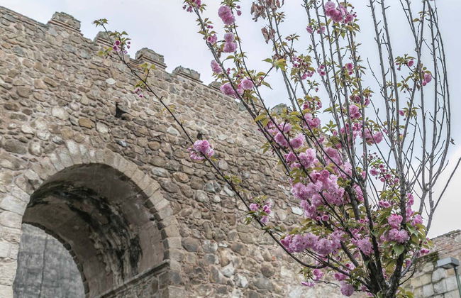 Visita guiada por Talavera de la Reina - Foto 3