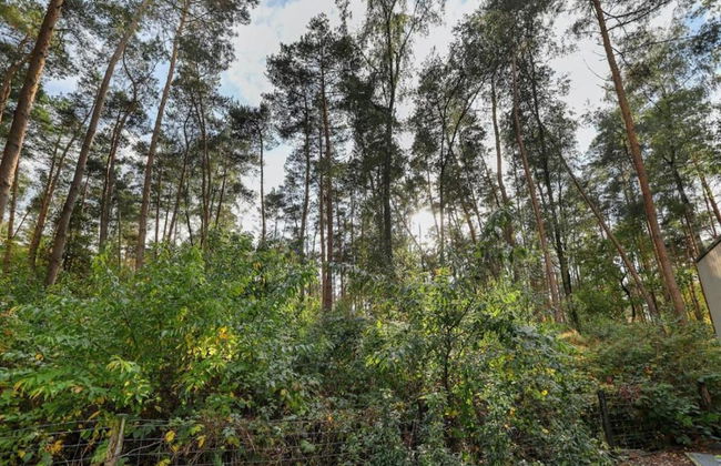 Wellness Forest Retreat - Photo 35