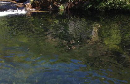 Casa do Avô - Foto 17