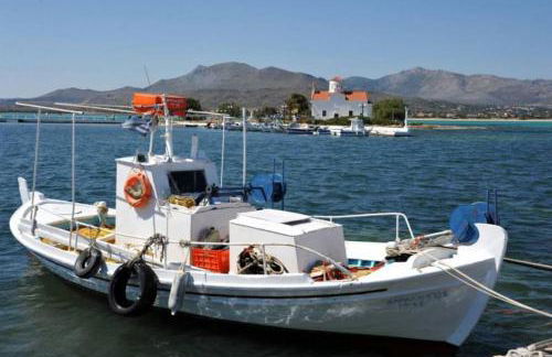 Papoulias Rooms - Foto 10