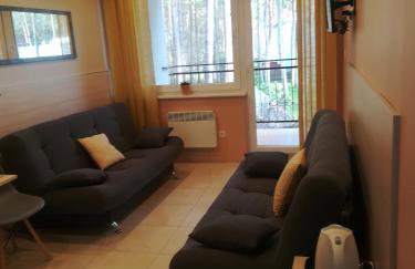 BLUE MARE Apartamenty MES - Foto 50