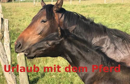 Elegante Maisonette Wohnung - Foto 16