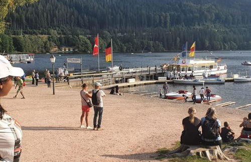 Landhuis Appartement Feldberg Uitzicht - Foto 53