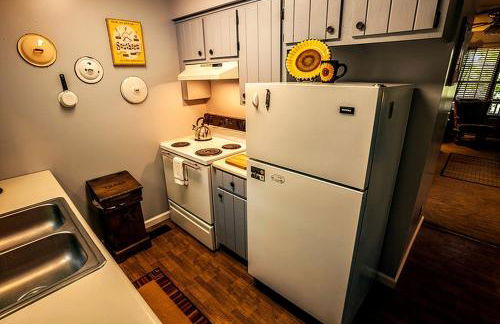 Family-Friendly Cabin Rental with River Views near Knoxville - Foto 12