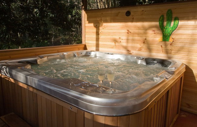 Rainforest Ranch - Photo 10