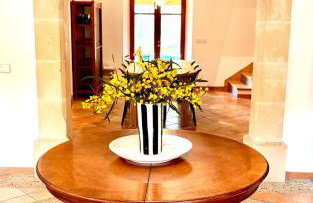 Country House Es Trenc - Foto 23