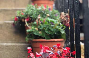 Apartamentos Casa de Riba - Foto 13