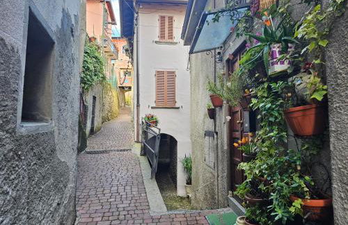 La Terrazza sul Lago di Como con garage - Photo 22