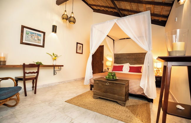 Club Mango - Photo 5