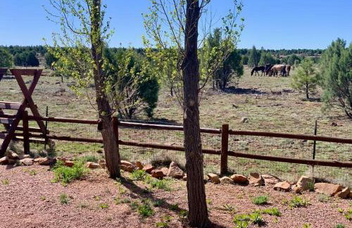 Cabin with Wild Horses, Fireplace, Dog Friendly & StarLink - Foto 53