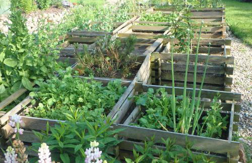 U Aptekarzy - Foto 53