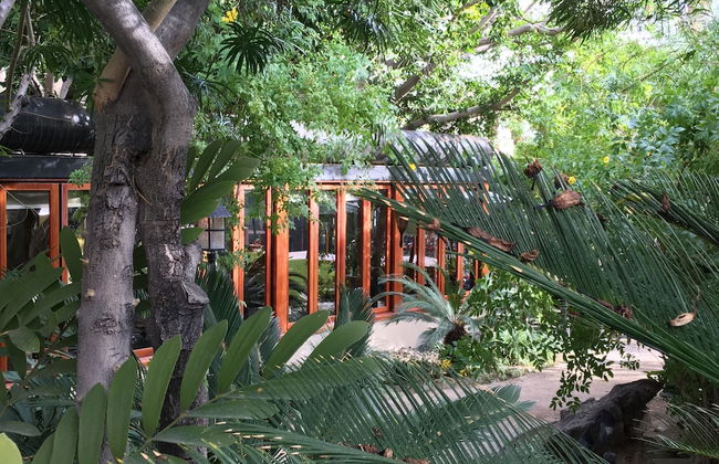 GetAways at Palm Springs Tennis Club - Foto 35