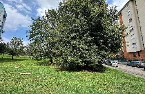 Alice sweet home - Foto 57