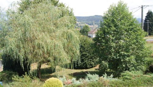 Lullaby House - Large, full comfort 5 star chalet house in the Vosges - Foto 4, Garden