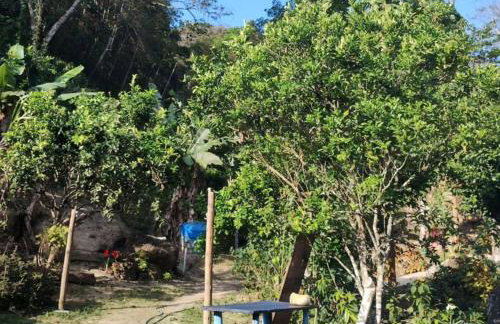 Cantinho da boa sorte - Sana - Photo 6