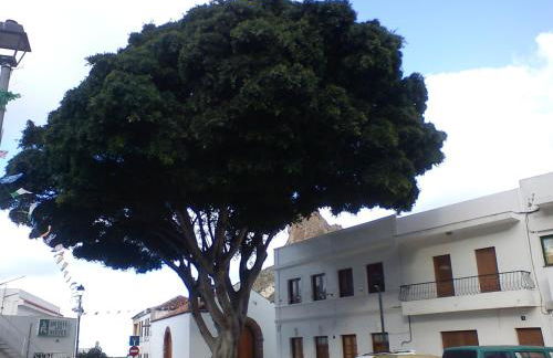 Casa campo y Playa Taganana - Foto 34