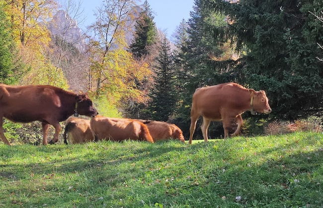 Superdevoluy545S - Photo 54