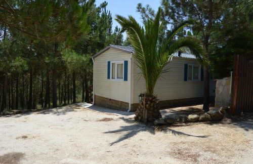 Quinta dos Mangues - Foto 14