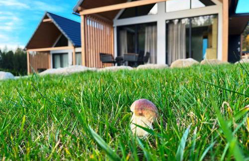 Galena i Gnejs - Foto 23