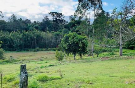 Sítio há 10 mim da Rota do Vinho - Foto 52