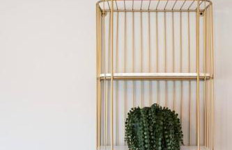 2 Beautiful 1 BR Apartment - Central CT - Foto 7