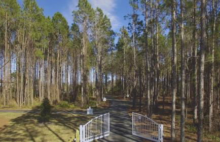 Lakefront Mansion on 10 Acres - Sleeps 15-45 - Foto 37