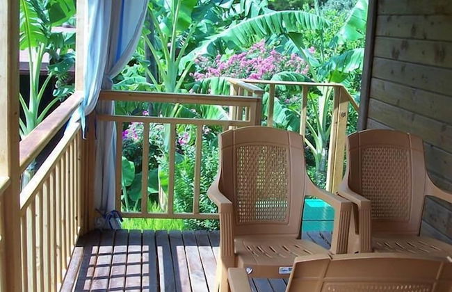 Naz Apart Cirali - Foto 6