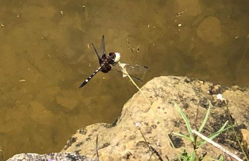 Fishers Of Men Ranch Home - Photo 59
