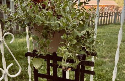 Chic Dunes Cottage with HOT TUB near Warren Dunes - Foto 6