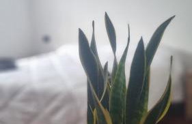 Le Principesse di Rho, vicinanze Milano e fiera - Foto 7