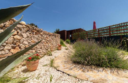 Apartments Ruža Dragove Dugi otok - Foto 21