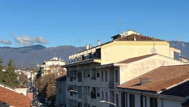 Sparkling nest - Foto 2