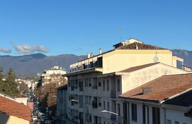 Sparkling nest - Foto 2