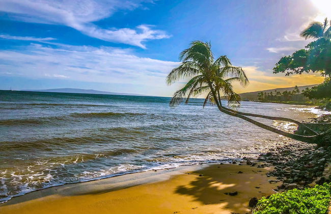 Hono Kai A10 - Foto 1