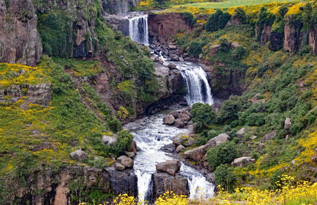 Northern Ethiopia Private 9-Day Tour - Photo 5