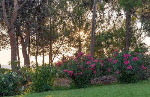 Seashell Luxury Residence - Foto 39