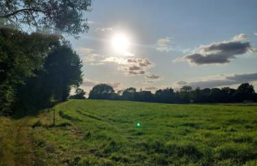 Ferienwohnung - Foto 29