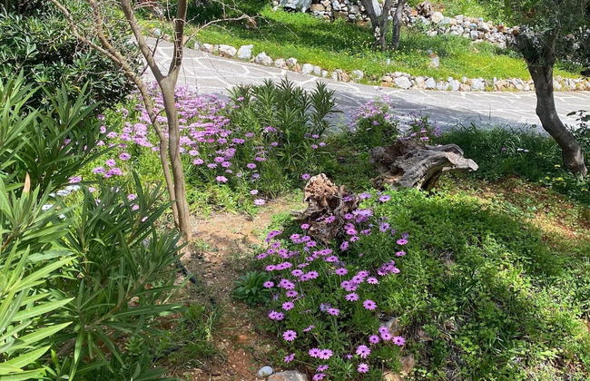 Beautiful Villa Near Sea in Epano Sisi - Foto 27