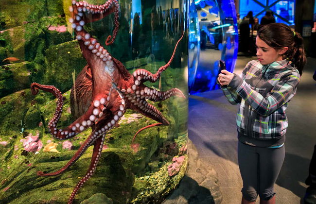 Seattle CityPASS® - Photo 6