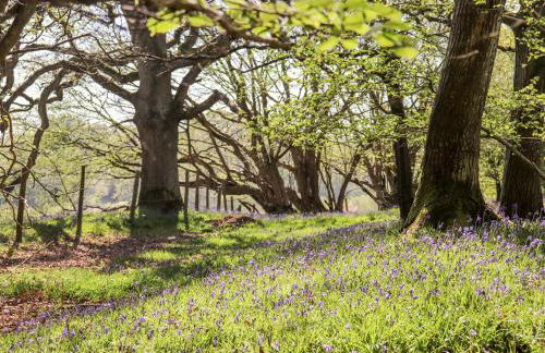 Deer Lodge - Photo 26