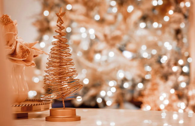 The Underwood-Hale House - Foto 18