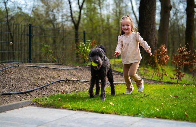 Modern Holiday Home With Decorative Fireplace - Foto 21