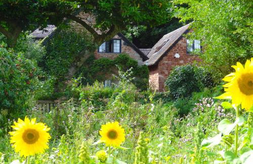 Saint Pancras Chapel - Foto 56