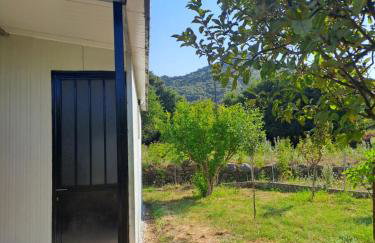 Rivers' house Tzoumerka - Foto 19