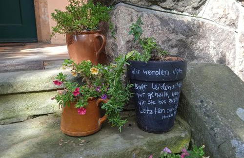 AuszeitOase am sächs. Jakobsweg - Foto 27