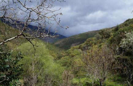 Casa da Quelha - Foto 56