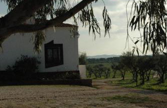 Herdade do Monte Outeiro - Turismo Rural - Foto 29